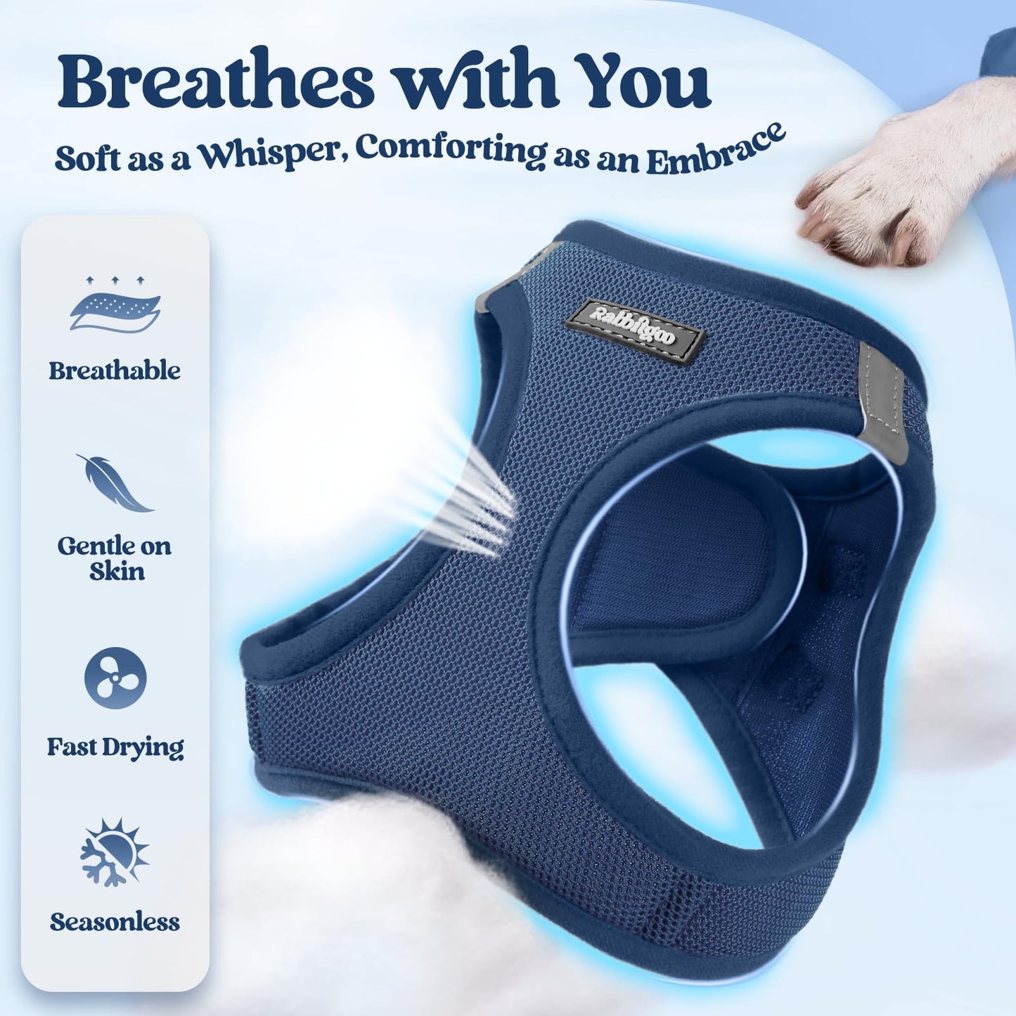 rabbitgoo Dog Harness Small Sized and Leash Set, Step in Soft Light Puppy Vest, Breathable Mesh Pet Harness, Reflective for Safe Outdoor Walking, Navy Blue XS