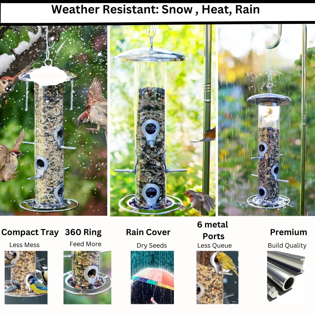 HEAVY DUTY stainless steel metal bird feeder, easy clean garden bird seed feeders hanging, bird feeders for small birds, bird feeders hanging for wild bird, hanging bird feeder for backyard BY PROVIDE