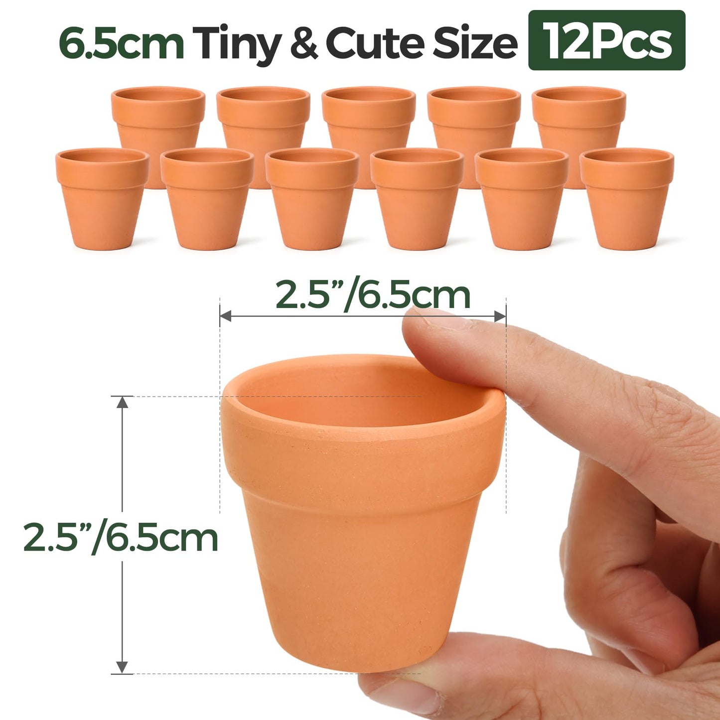 T4U 6.5CM Terracotta Plant Pots 12 Pcs, Mini Terracotta Pots with Drainage Holes, Small Clay Pots for Crafts, Small Plant Pots for Succulent Cactus Plants, DIY Mini Flower Pot, Gifts for Party Decor
