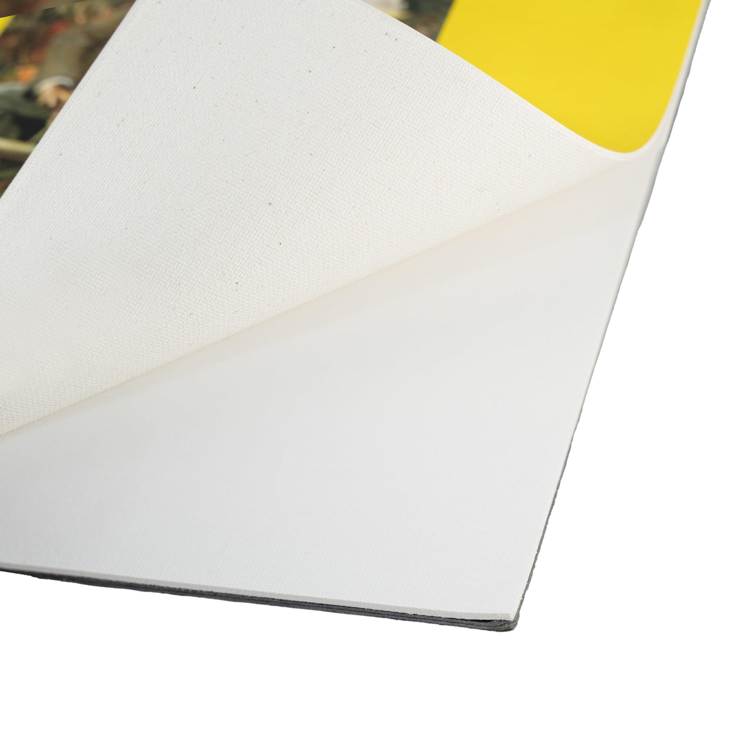 Fredrix 3500 Canvas Pads, 9 by 12-Inch - White