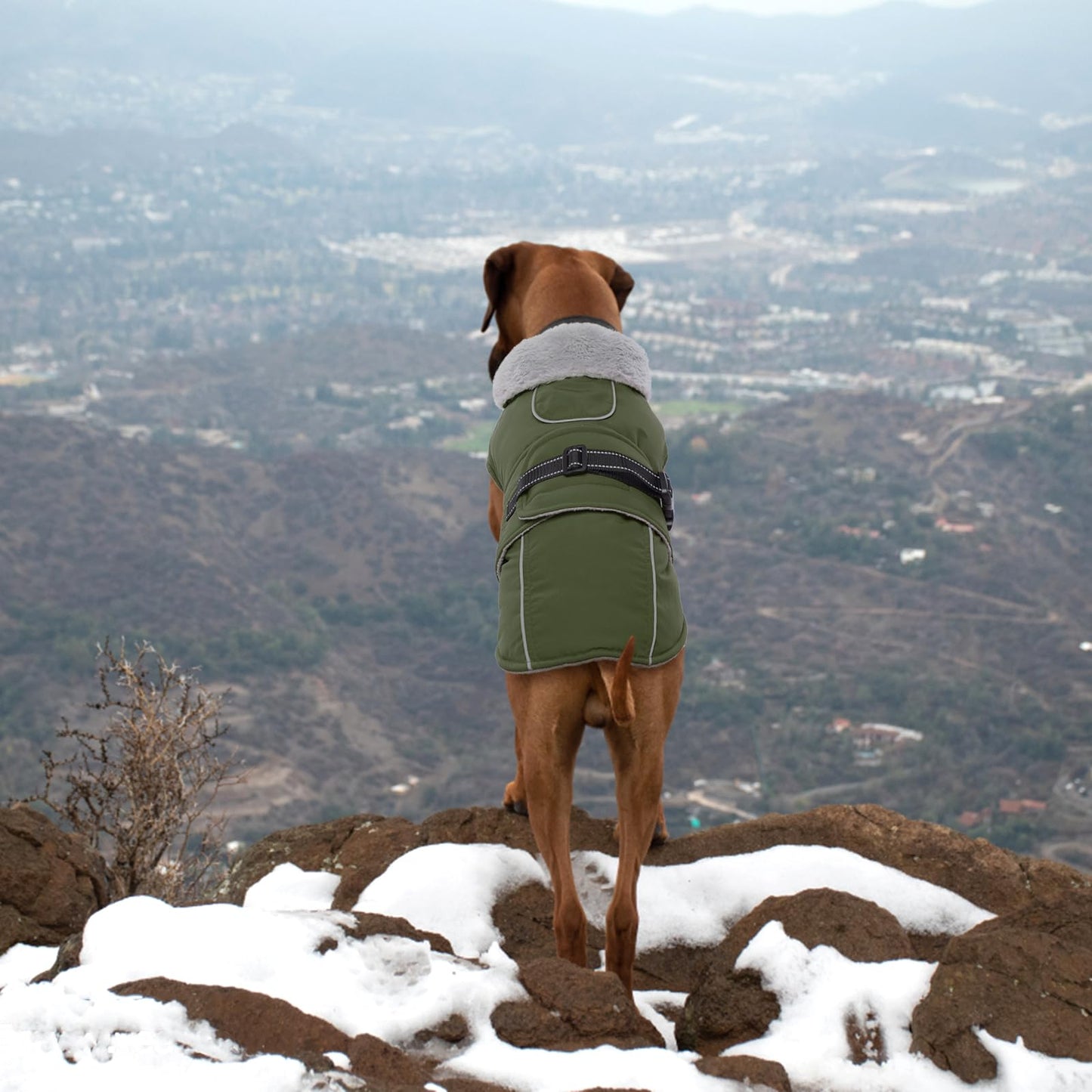 Lelepet Warm Coats and Jackets for Dogs, Waterproof Winter Dog Coat for Cold Weather, Reflective Dog Puffer Jacket, Fleece Lining Pet Coat with Harness Hole for Large Dogs, ArmyGreen XL