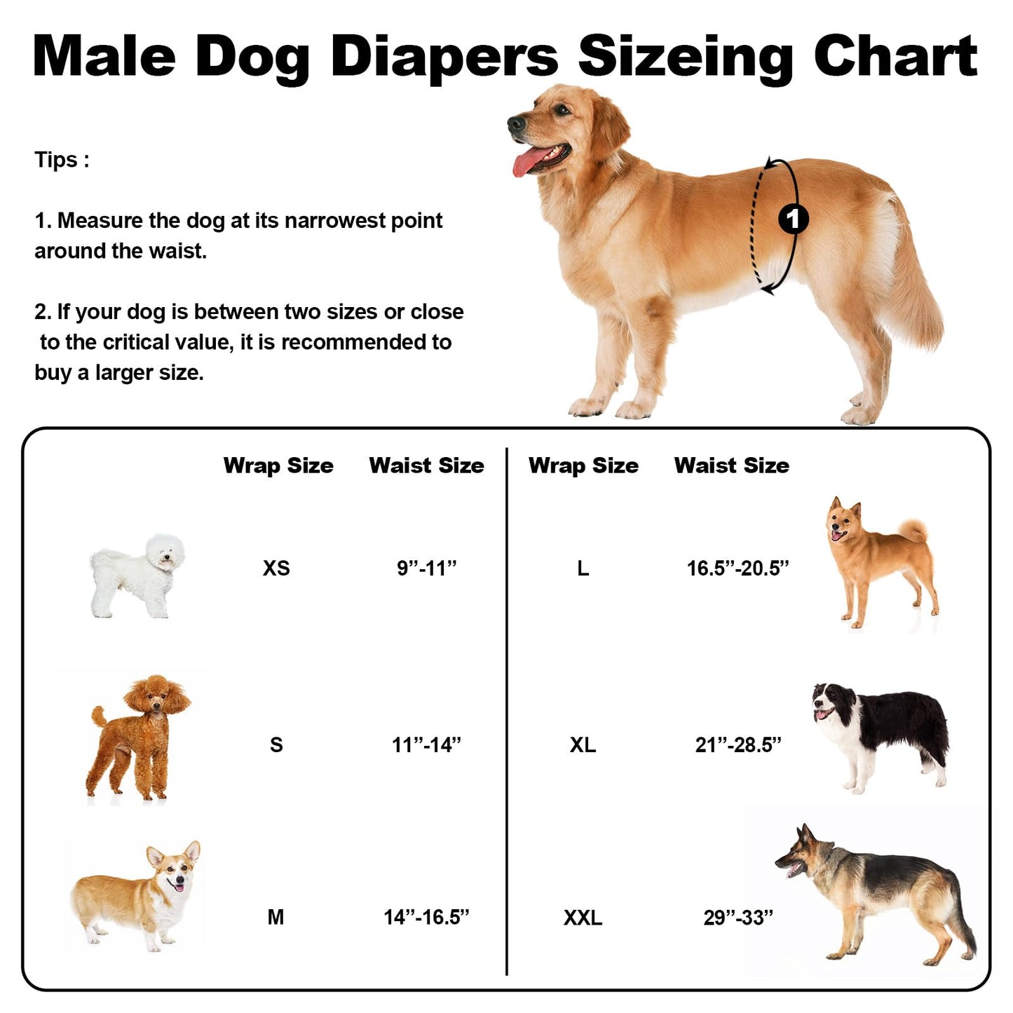 Washable Male Dog Diapers Reusable, Premium Belly Bands for Dogs, Pack of 3, High Absorbing Extra Extra Large Dog Pee Wraps for Puppy in Incontinence or Excitable Urination and Training(XXL)