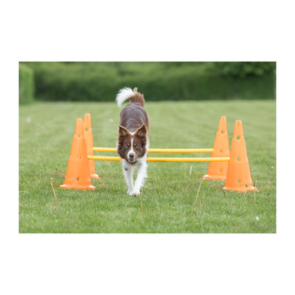 TRIXIE Pylon Obstacle Set – 6 pylons – 3 poles – variable height adjustment: 6 cm / 13.5 cm / 20 cm – orange/yellow – 32091