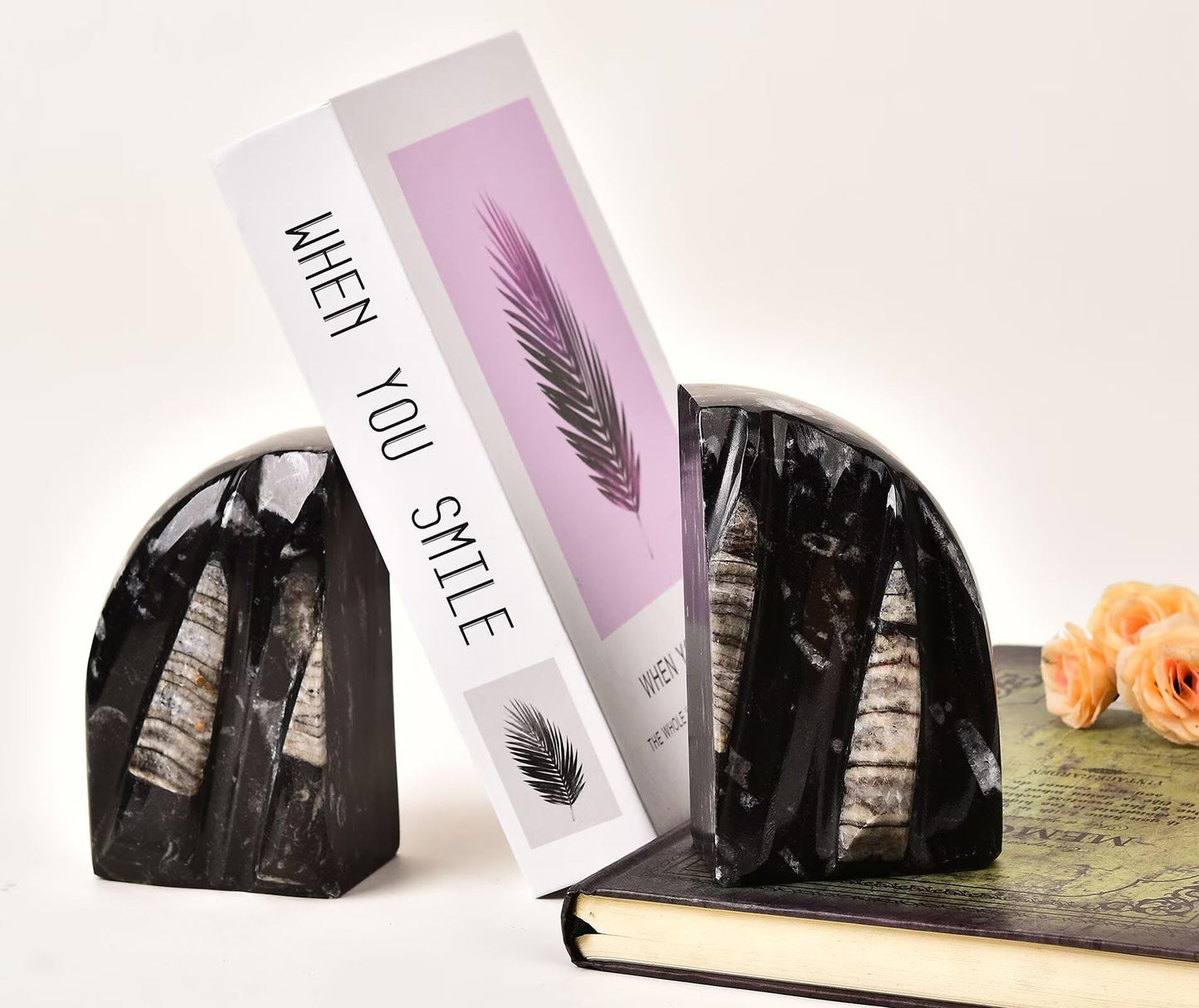 VIZYTOU Orthoceras Fossil Bookend Heavy Duty Stone Book End Decorative Book Holder 4-5 Pounds