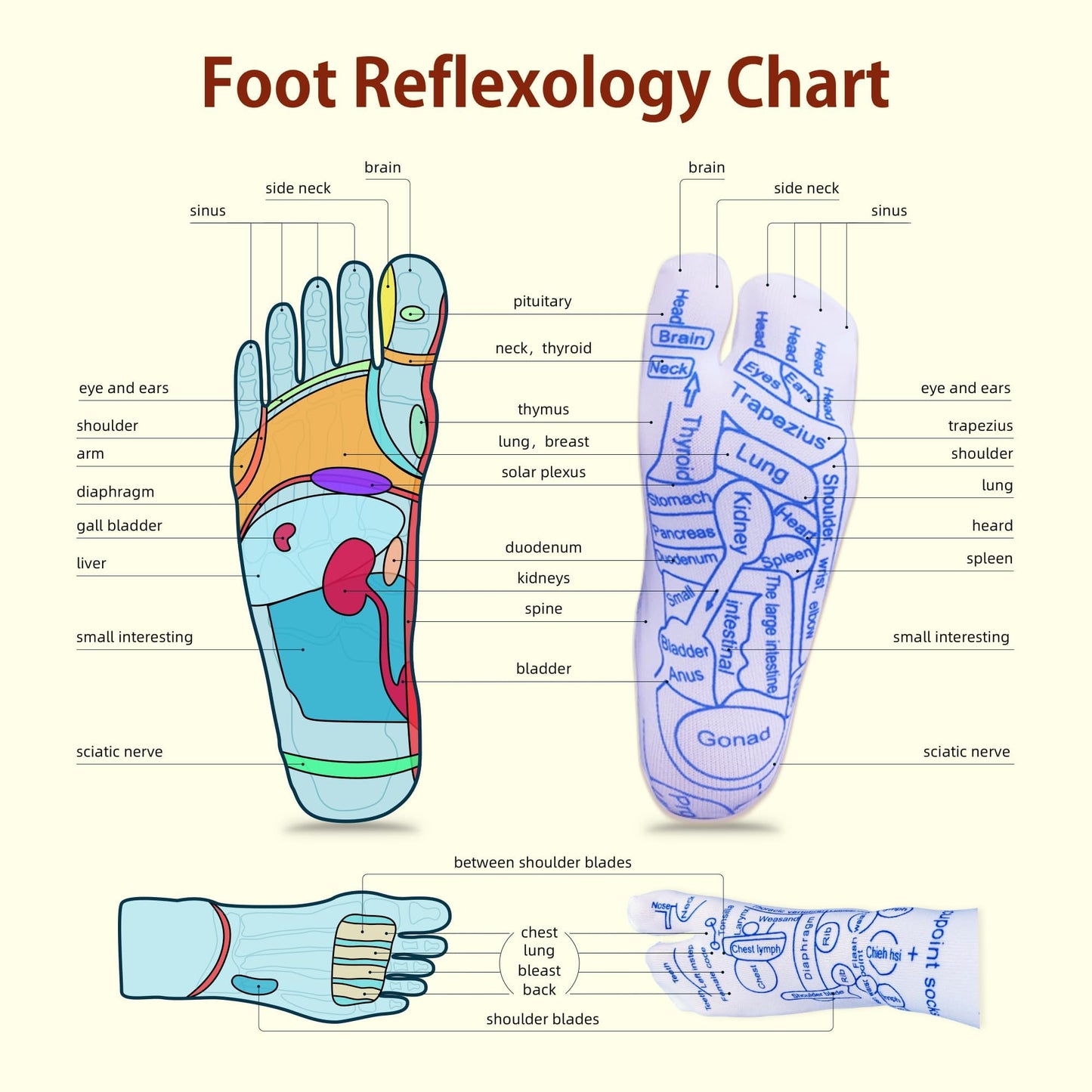 PNCYIOE Reflexology Foot Socks with Triangular Acupressure Massage Tool Set - Plantar Fasciitis Relief for Heel Pain, 2026 Gift Package Joint Massager