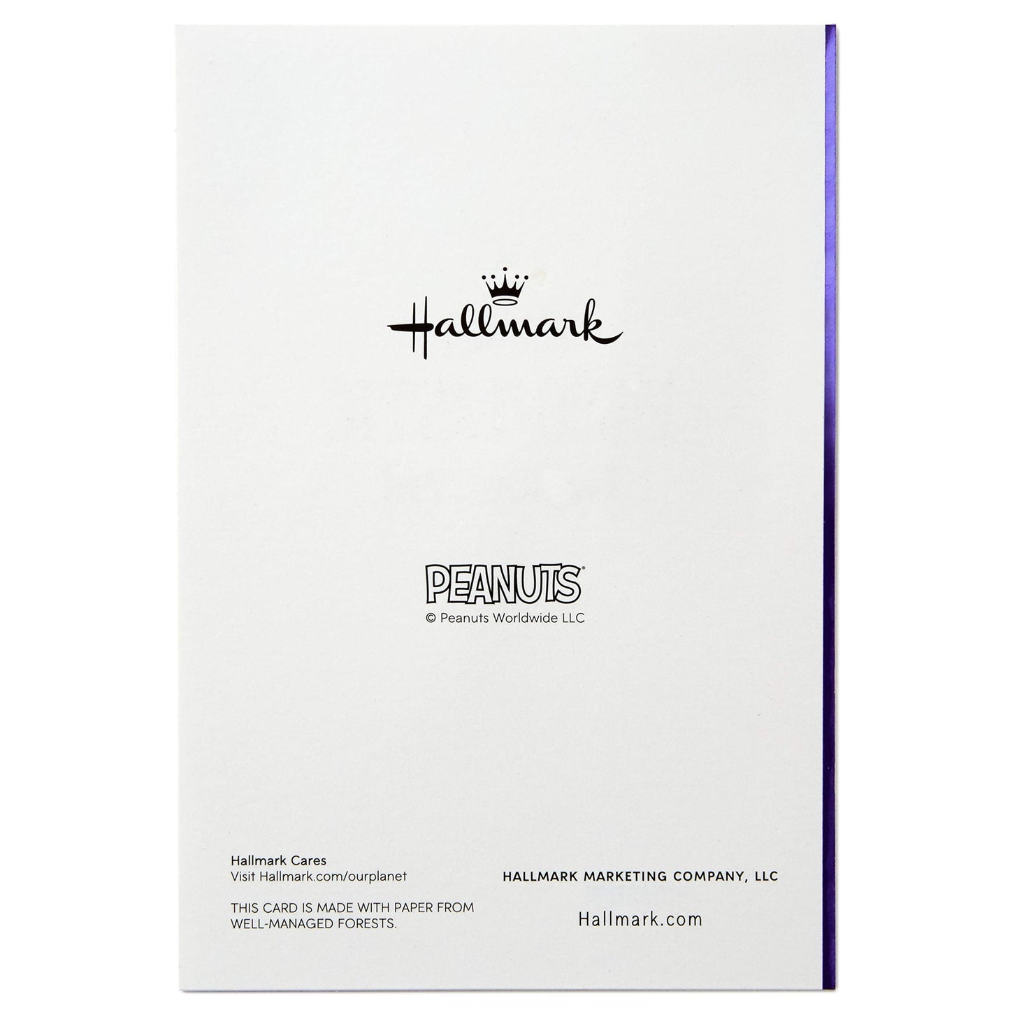 Hallmark Peanuts Halloween Cards (6 cards with Envelopes)