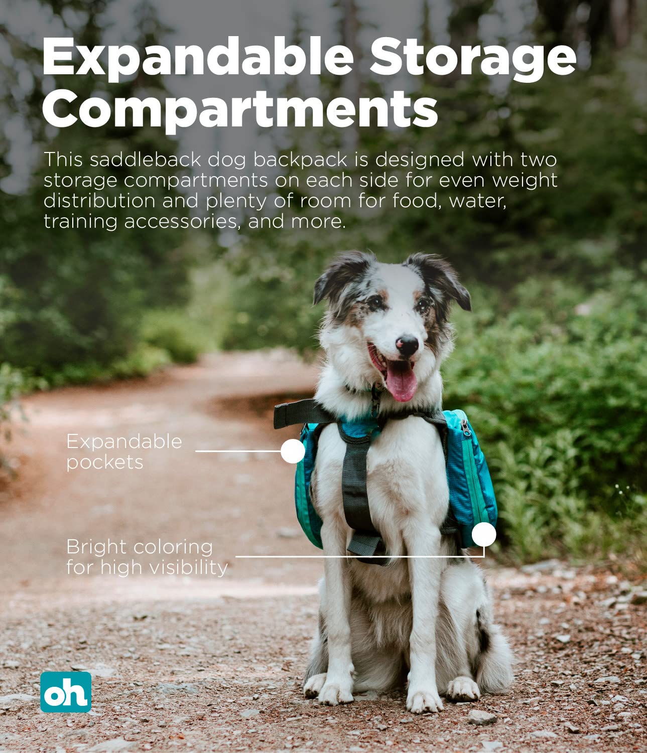 Outward Hound Kyjen 22005 DayPak Dog Backpack Adjustable Saddlebag Style Dog Accessory, Large, Blue