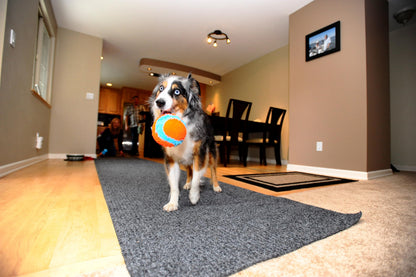 Chuckit! Indoor Dog Ball Dog Toys No Stuffing Dog Toys, Interactive Toys For Dogs Soft Ball Toy for Boredom, Medium 11cm
