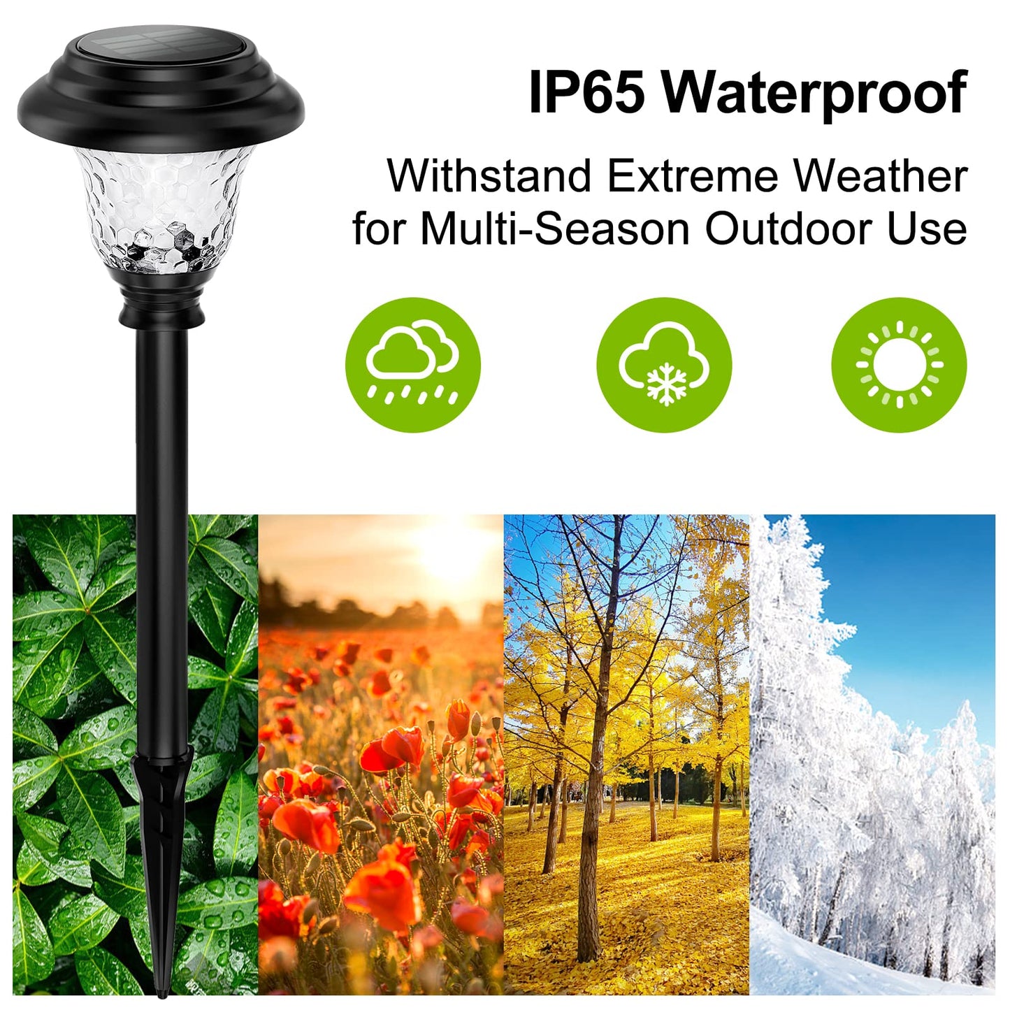 Balhvit Glass Solar Lights Outdoor, 8 Pack Super Bright Solar Pathway Lights, Up to 12 Hrs Long Last Auto On/Off Garden Lights Solar Powered Waterproof, Stainless Steel LED Landscape Lighting for Yard