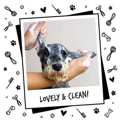BUGALUGS Dog Shampoo with a Distinctive One in a million Fragrance - Natural dog grooming shampoo products for smelly dogs best puppy professional groom shampoo & conditioner (1x500ml)