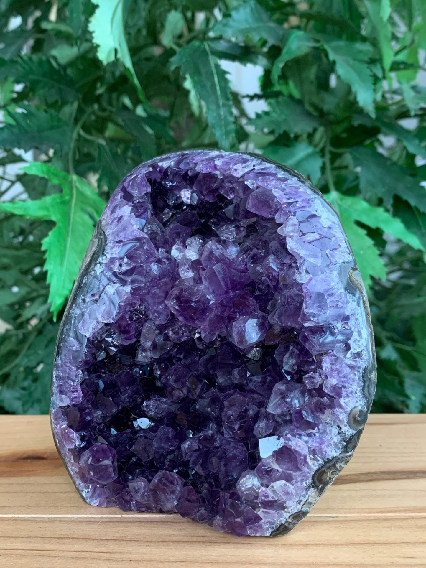 GAF TREASURES Finely Polished Uruguayan Deep Purple Amethyst Cluster with Cut Base, Standing Amethyst Geode, Raw Amethyst, Amethyst Cathedral, Amethyst Druze (0.5-1 lb)