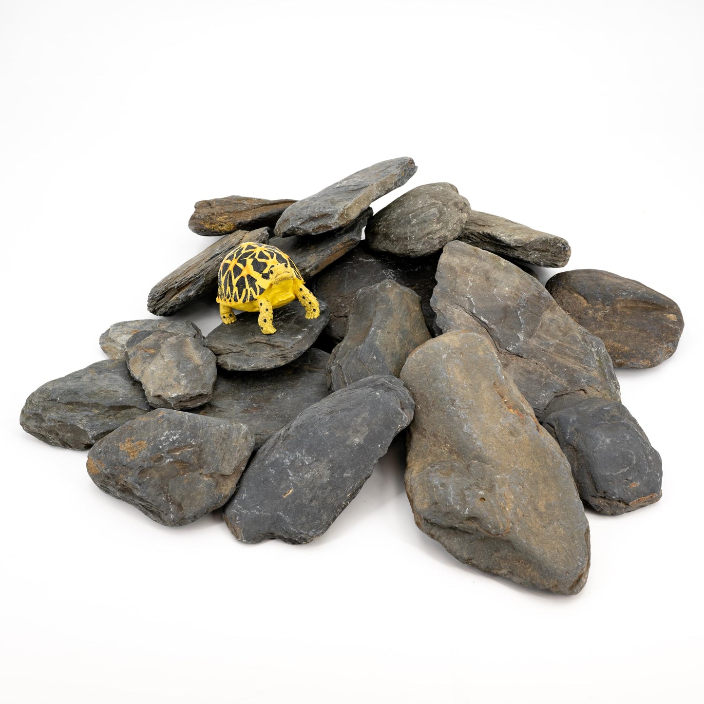KINGRUI Aquarium Rocks Stream Turtle Platform Natural Slate 3-8 inches Basking Rock for Aquarium Decoration Turtle Tanks Amphibian Reptile Terrariums-10lb