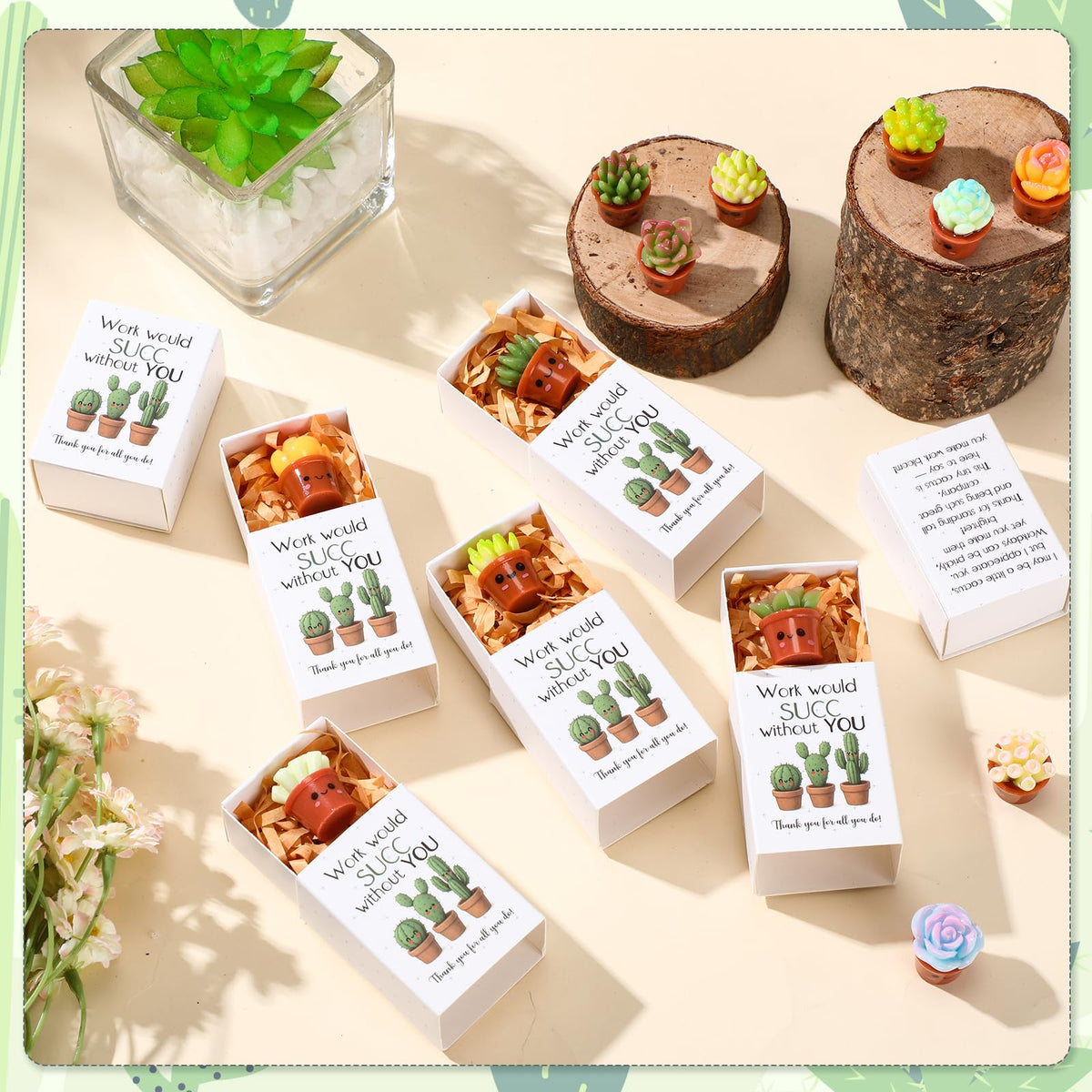 Jenaai Succulent Thank You Gift Bulk Positive for Teacher Nurse Employee Coworker Resin Cute Succulent Gifts Small Cactus Pocket Desk Favors with Positive Pun Boxes for Team Staff