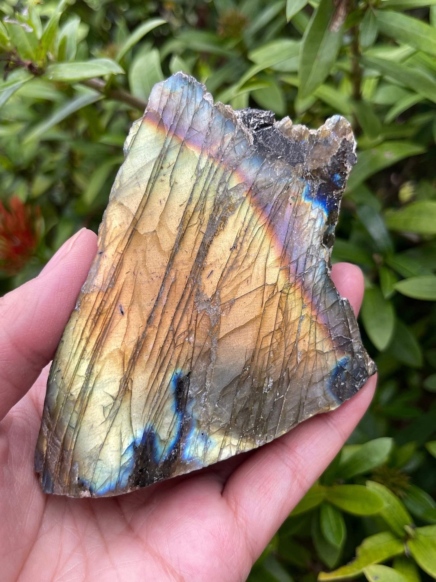 Natural Labradorite Slab, High Flash Free Standing Display Specimens, Raw Labradorite Slab Cut Base (0.5-1 lb)