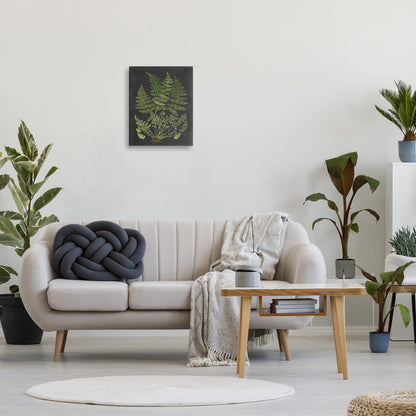 Stupell Industries 'Scientific Botanical Fern Drawing', Canvas Art, 16 x 20 Inches, Easy to Hang and Sturdy, Made in USA, by Lettered and Lined