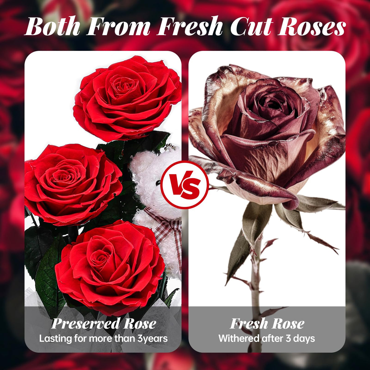 Amoueterno Flowers Forever Roses in A Box, 3 Real Roses with Stems and Bear, Eternal Rose Gifts for Her,Birthday Gifts for Women, Mom,Girlfriend,Grandma,Daughter,Red