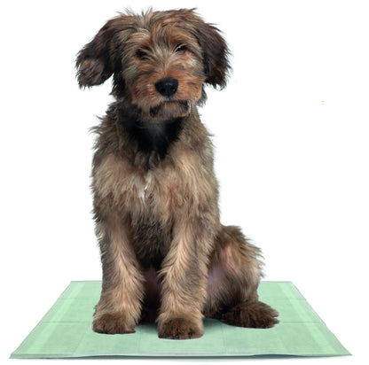 50 x Super Absorbent Puppy Training Pads with Active Charcoal and Super Absorbent Polymer Technology (1-Pack)