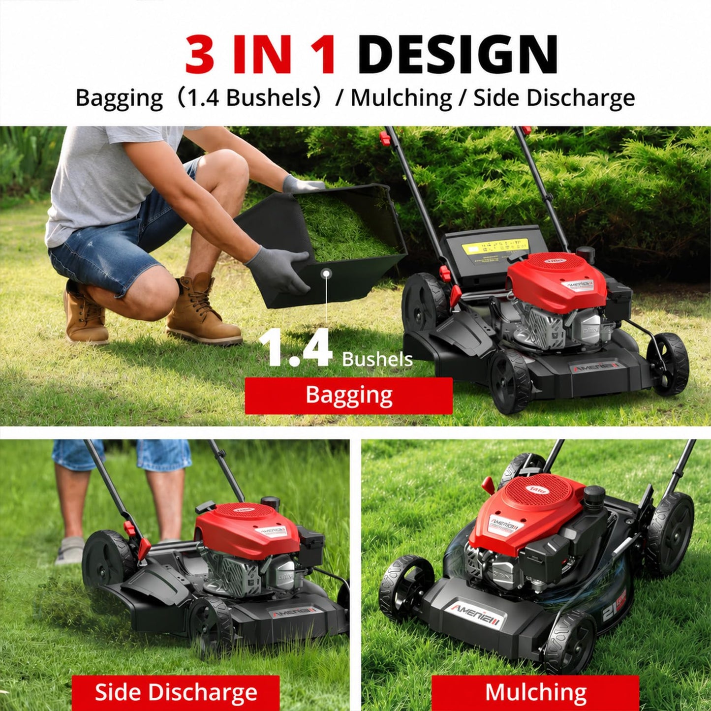 AMERISUN 21-Inch Gas Push Lawn Mower for Large Yard, 144cc 4-Stroke Engine, 6-Position Adjustable Cutting Height, 3-in-1 Mulching, Side Discharge & Rear Bag for Garden Landscaping