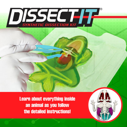 Top Secret Toys Dissect It Kit for Kids, Synthetic Dissection Kids Science Kit to Learn Animal Anatomy, Biology, STEM Frog Toys, Ages 6 and Above
