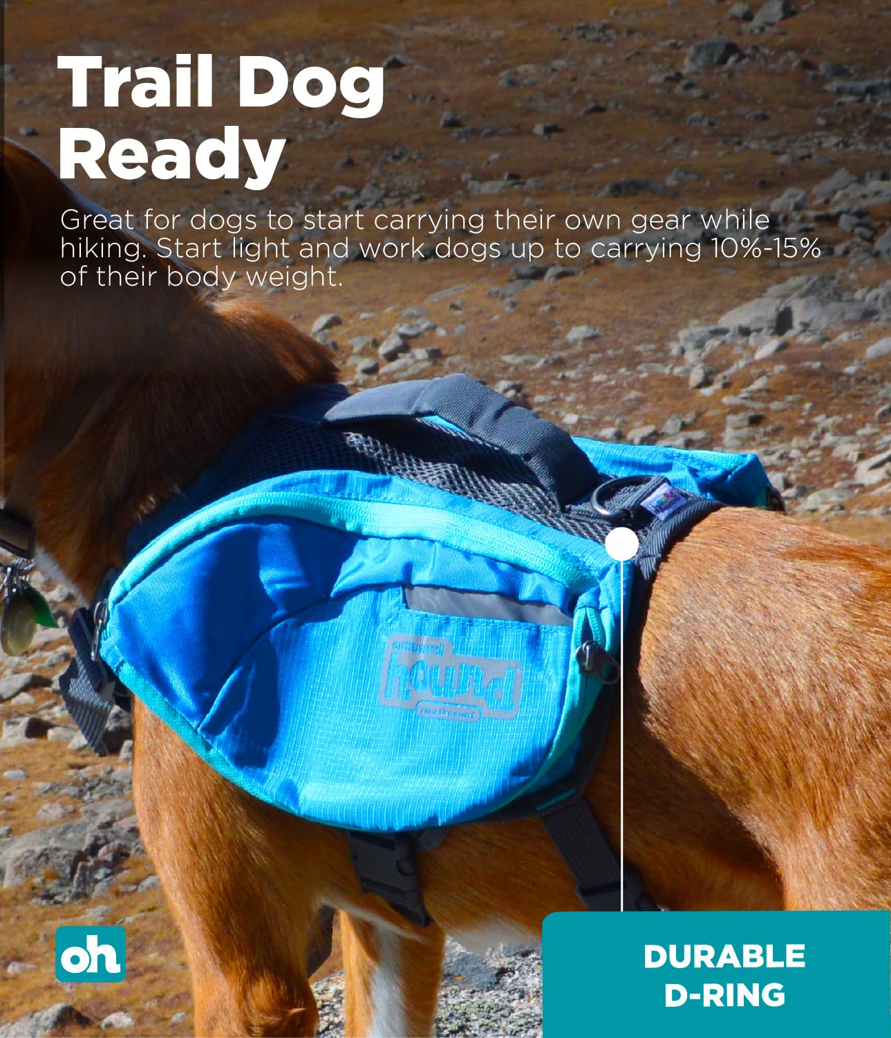 Outward Hound Kyjen 22005 DayPak Dog Backpack Adjustable Saddlebag Style Dog Accessory, Large, Blue