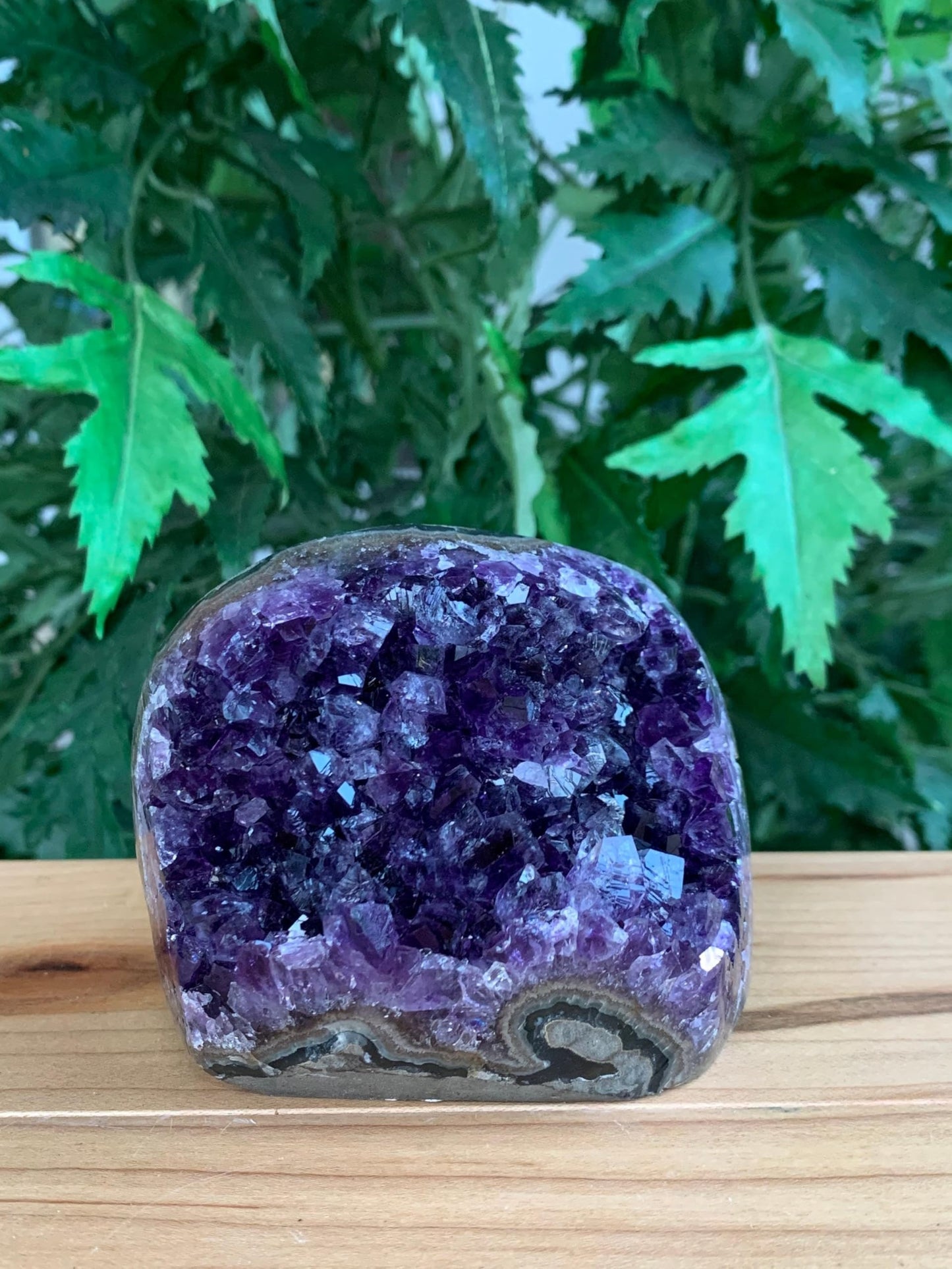 GAF TREASURES Finely Polished Uruguayan Deep Purple Amethyst Cluster with Cut Base, Standing Amethyst Geode, Raw Amethyst, Amethyst Cathedral, Amethyst Druze (0.5-1 lb)