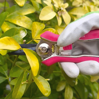 Spear & Jackson CUTTINGSET9P Colours Pink Bypass Secateurs and Snips Set