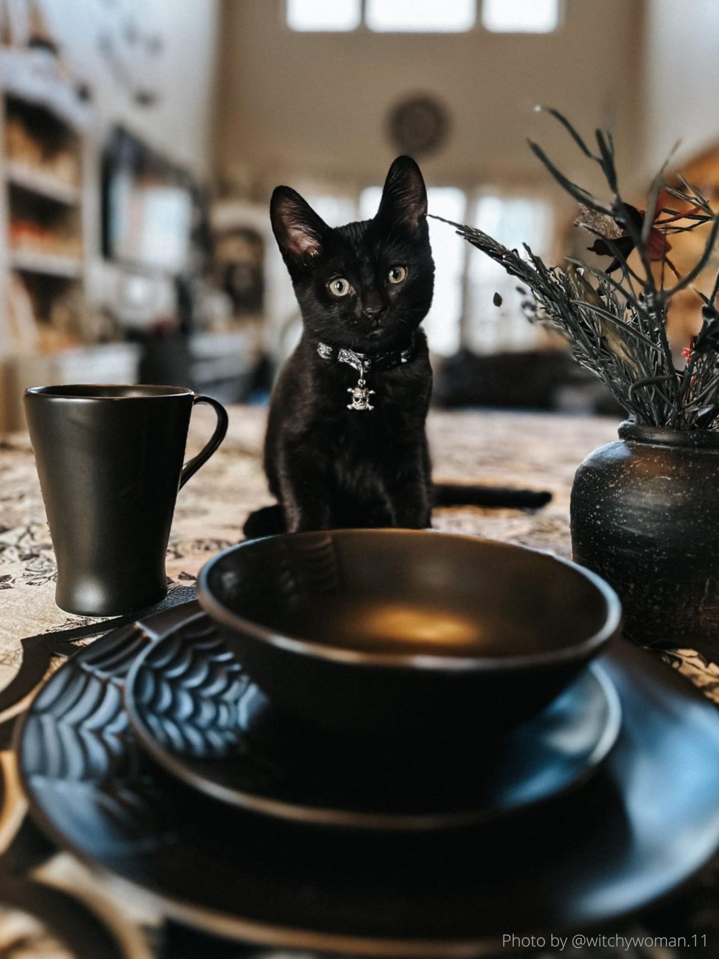 Nomnu Spiderweb Dinnerware Set (16 Pieces) - Goth Dinnerware Set - Black Matte Porcelain - 4 Dinner Plates 4 Salad Plates 4 Bowls 4 Mugs - Halloween Spooky Dishes Gothic Kitchen Decor Gifts