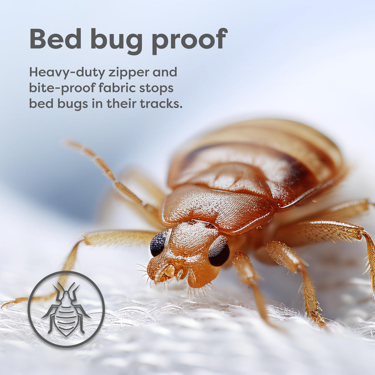 HOSPITOLOGY PRODUCTS Zippered Mattress Encasement - Sleep Defense System - King - Waterproof - Stretchable - Ultra Low Profile 6" Depth - 78" W x 80" L