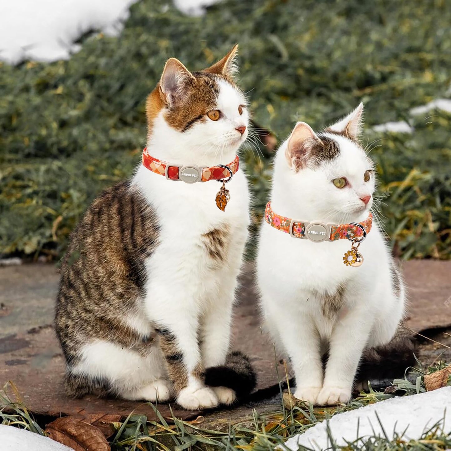 ARING PET 2 Pack Cat Collars, Breakaway Cotton Fall Halloween Kitten Collar with Bells for Girl Boy Cats Floral & Orange Plaid