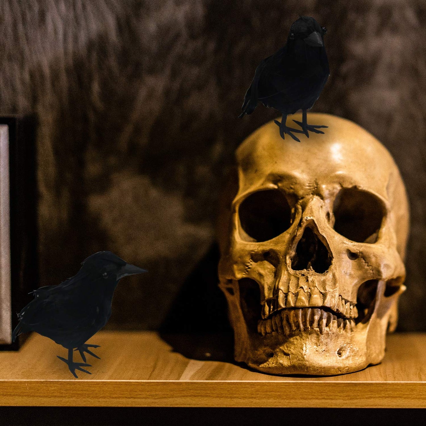 FUNPENY Halloween Black Feathered Crows, Lifelik Halloween Decoration Birds with Real Feather (6 Pack)