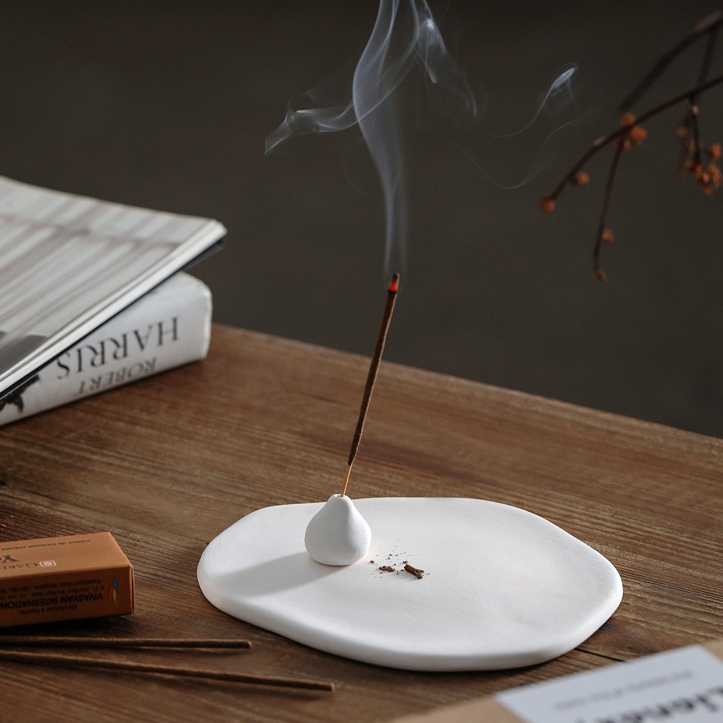 Handmade Incense Holder Irregula Plain Ceramic Stick Incense Holders Pomelo Pumpkin Incense Burner for Home Decor Yoga Meditation Zen (Pomelo White)
