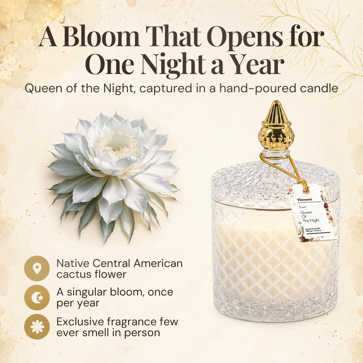 VIONAMI Luxury Scented Candle Gift – Queen of The Night Rare Flower Fragrance in Elegant Glass Jar, Decorative Soy Candles Gifts for Women, Long-Lasting 80 Hr, 14.8 oz, Luxury Candles for Women