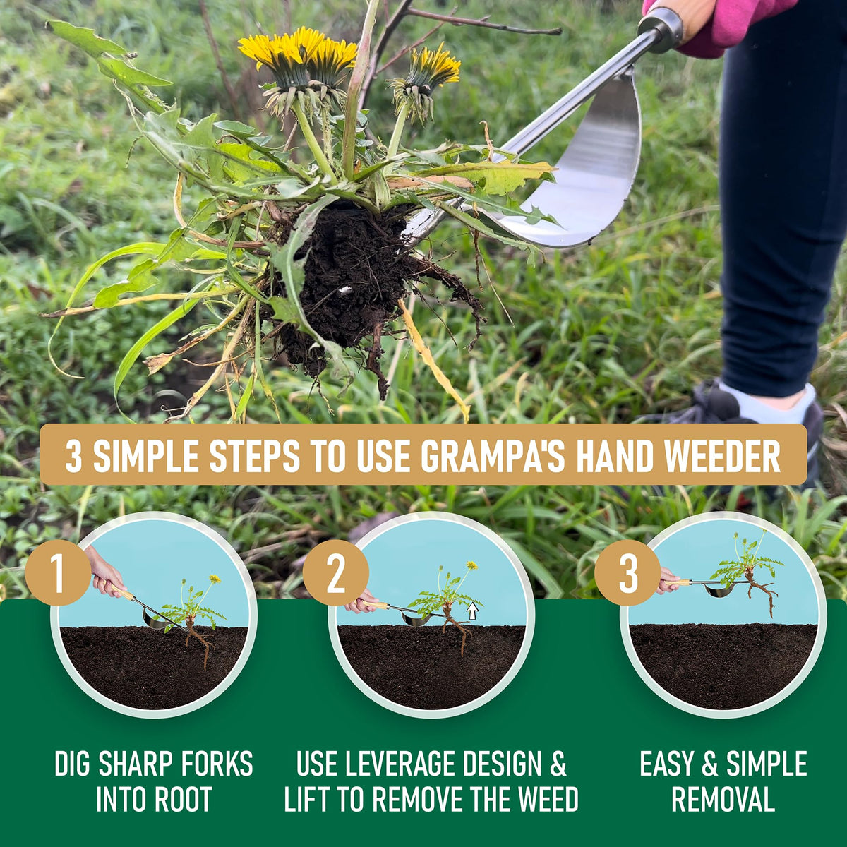 Grampa's Hand Weeder Tool - The Perfect Lightweight Easy to Use Weed Puller Tool for Garden - Durable Unique Lever Design with V-Shaped Forks Allows for Easy Removal of Weeds & Their Roots.