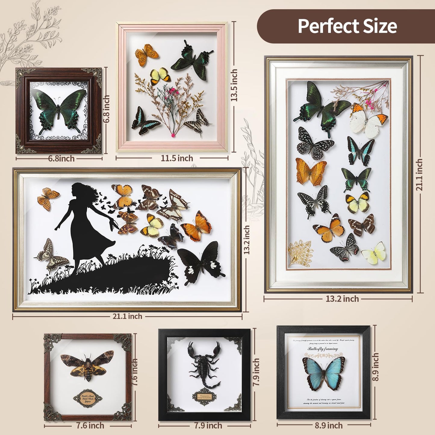 TOHTOFN Real Rhinoceros Beetle (Dynastes) Preserved Framed - 6.7x4.7 Inch Handcrafted Insect Specimen Shadow Box, Gothic Home Decor for Christmas Halloween Birthday Gifts