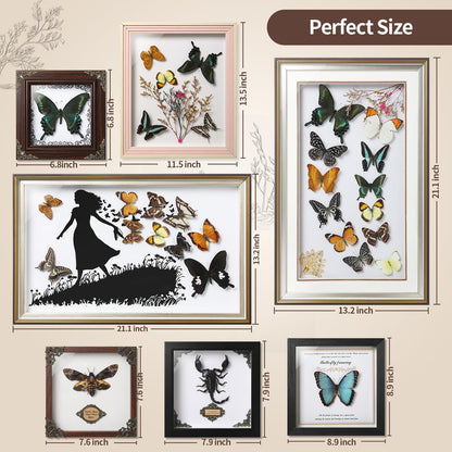 TOHTOFN Real Rhinoceros Beetle (Dynastes) Preserved Framed - 6.7x4.7 Inch Handcrafted Insect Specimen Shadow Box, Gothic Home Decor for Christmas Halloween Birthday Gifts