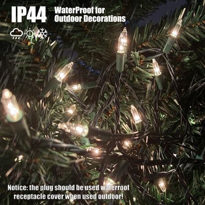 HISHINY Christmas Lights 100 Count Clear Christmas Tree Lights String with Green Wire for Outdoor Indoor Christmas Decorations Wedding Decorations Valentines Day Decor,UL Certified (21feet)