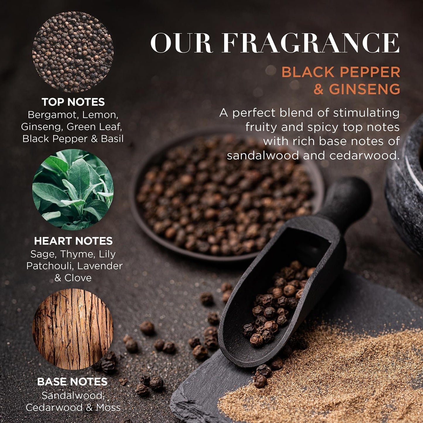 Baylis & Harding Black Pepper & Ginseng Men's The Essentials Tin Kit Gift Set (Pack of 1) - Vegan Friendly