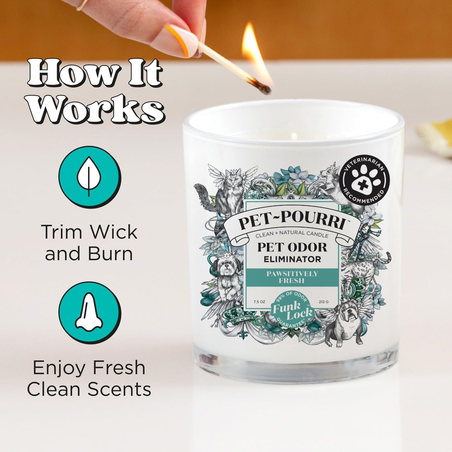Pet-Pourri Pawsitively Fresh Pet Odor Deodorizer Candle, Burns Up to 45 Hours, Aromatherapy & Air Freshener with Essential Oils, Plant Based Ingredients & Wax, Vet Approved, Jasmine Pear Scent
