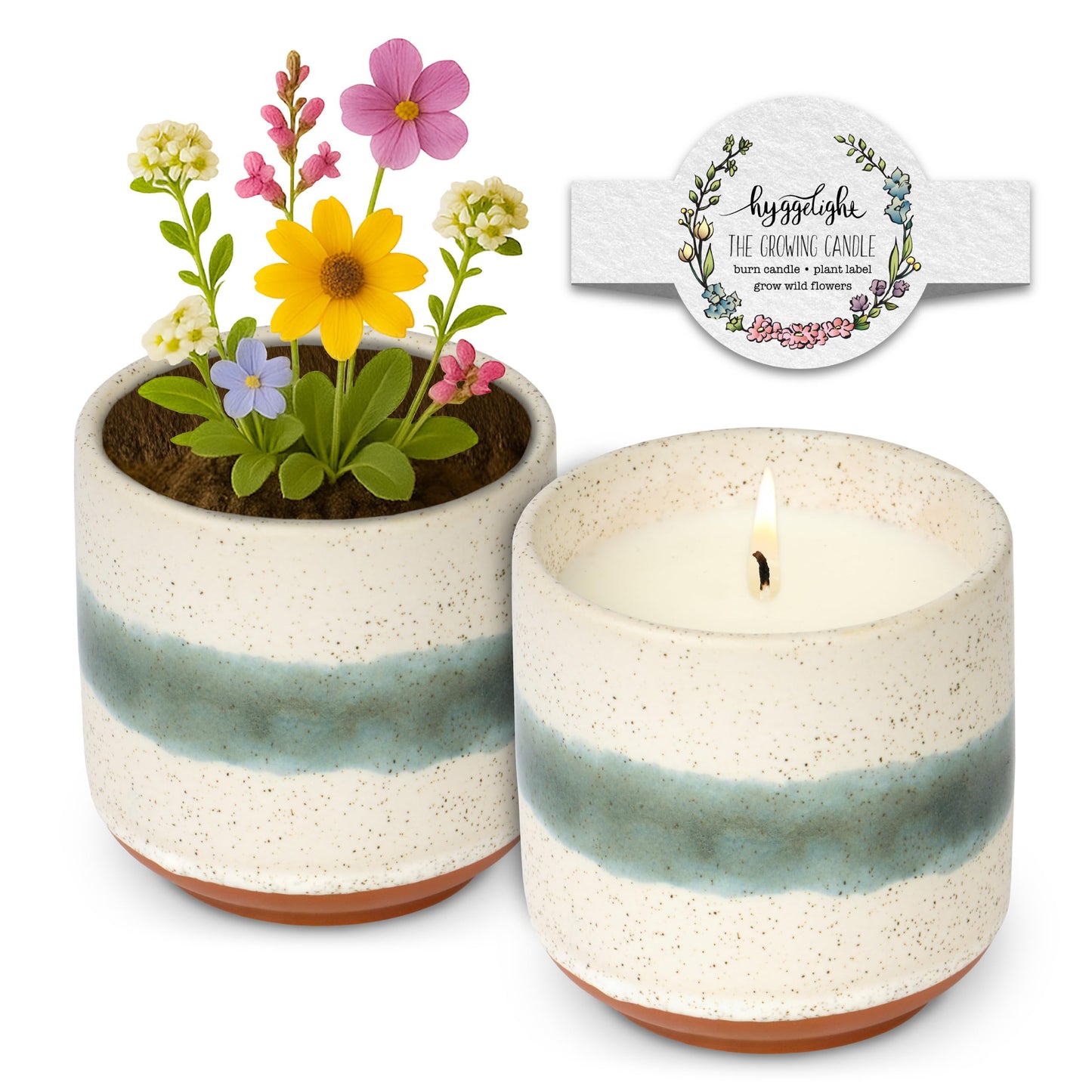 Hyggelight - The Growing Candle, Rosemary & Sage Scent, 8.5oz Ceramic Pot, Single Wick Aromatherapy Candles, 100% Soy for Women and Men, Edith