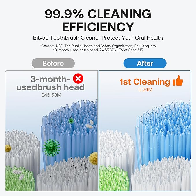 Bitvae Upgraded Tooth Brush Holder