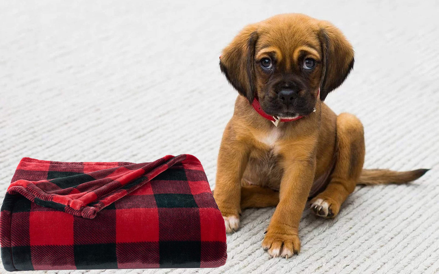 The Big One Throw Blanket Plush Super Soft Warm Cozy for Living Room 60 x 72 inches Oversized (Red Black Buffalo Plaid)