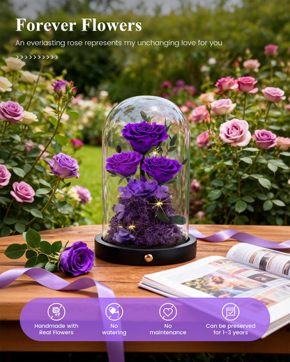 Agrul Mothers Day Flowers Roses Gifts for Mom,Forever Preserved Flower Rose in Glass Dome Fresh Flowers for Delivery Mothers Day Roses Gifts for Wife Women Mom Grandma from Daughter/Purple Rose