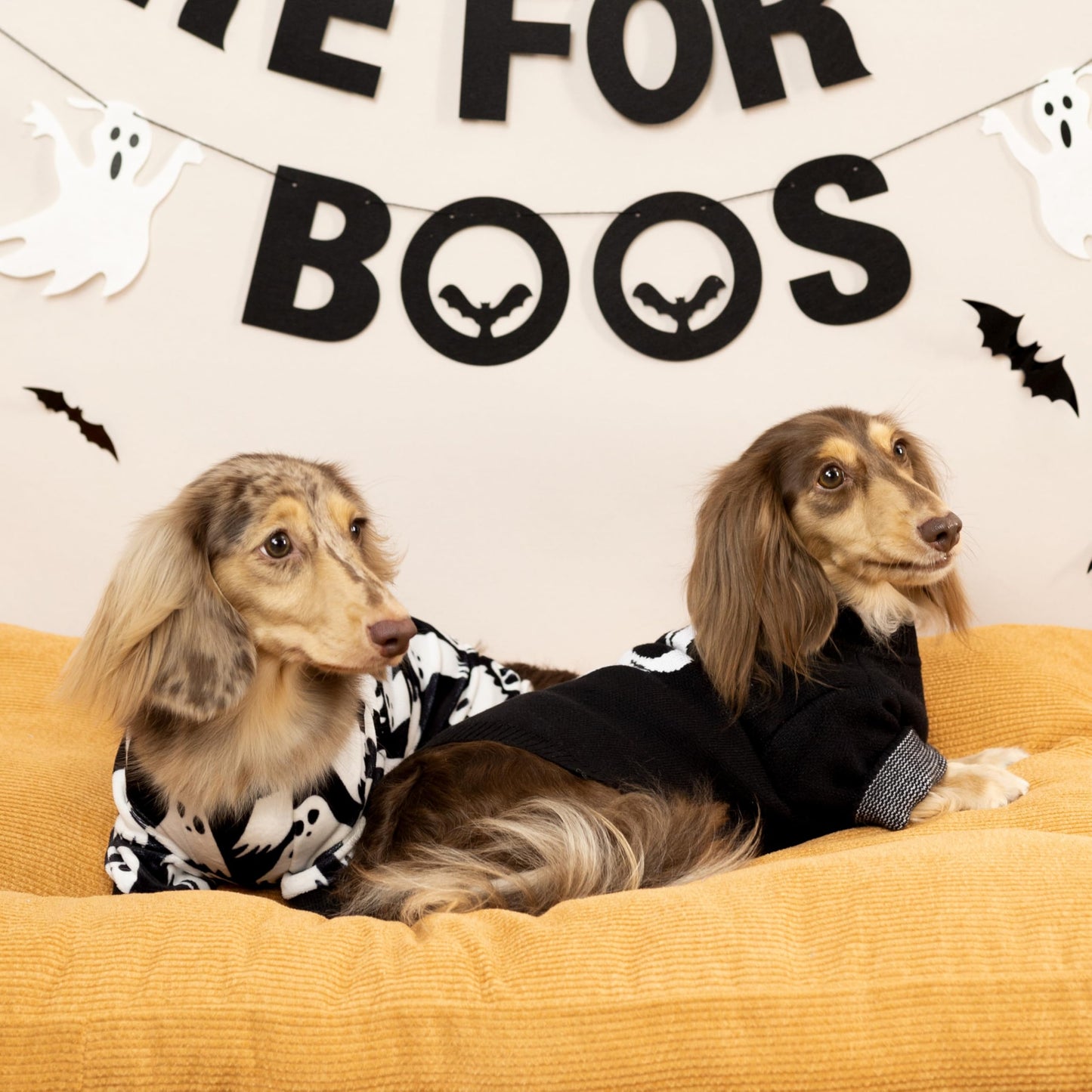 Fitwarm Halloween Ghost Dog Pajamas, Funny Halloween Costumes for Dogs, Fleece Dog Onesie with Feet, Doggy Clothes for Small Dogs Boy Girl, Pet Apparel, Black, White, Medium