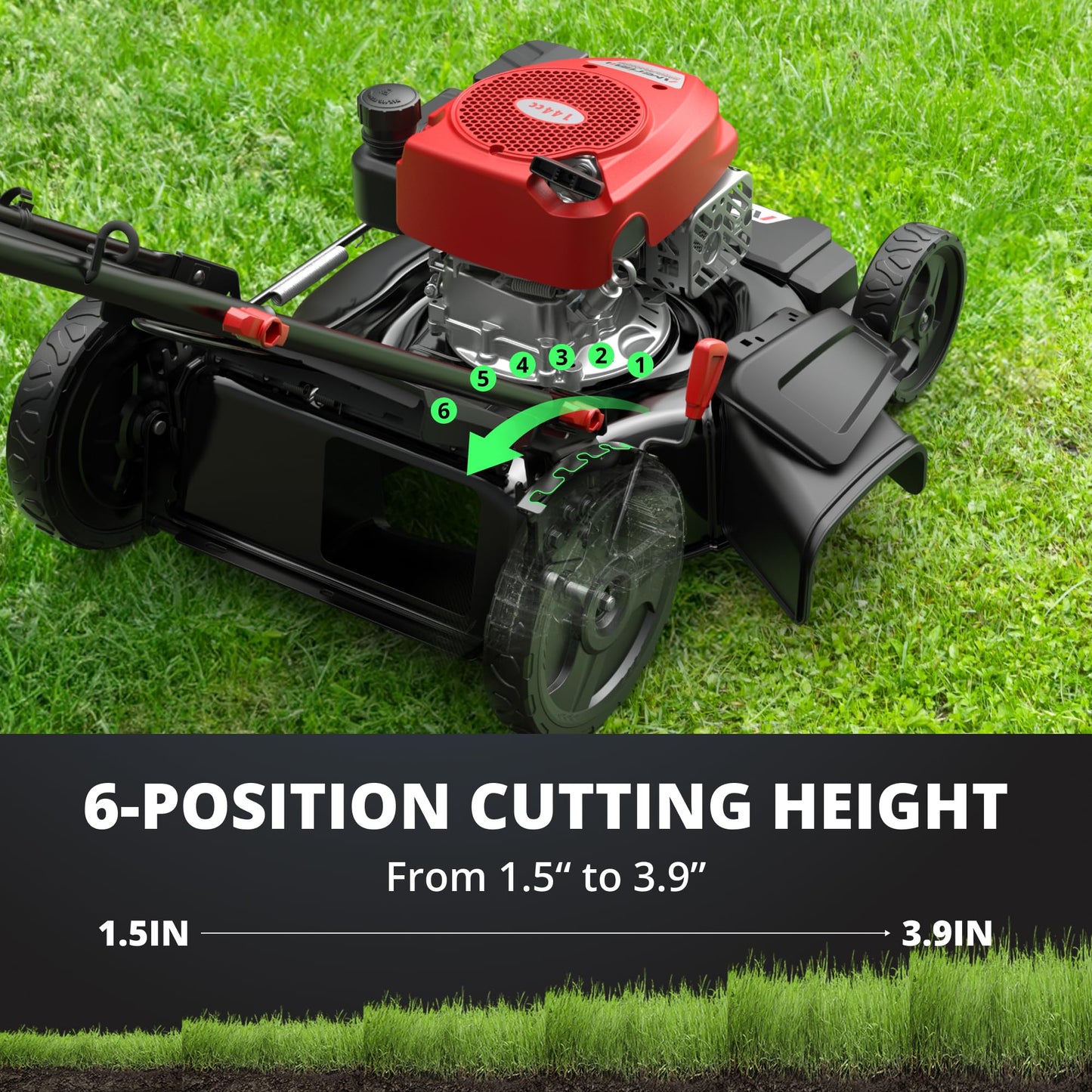 AMERISUN 21-Inch Gas Lawn Mower, 144cc 4-Stroke OHV Engine, 2-in-1 Push Lawn Mower with Mulching & Side Discharge, 6-Position Height Adjustment, 7-Inch Front/10-Inch Rear Wheels