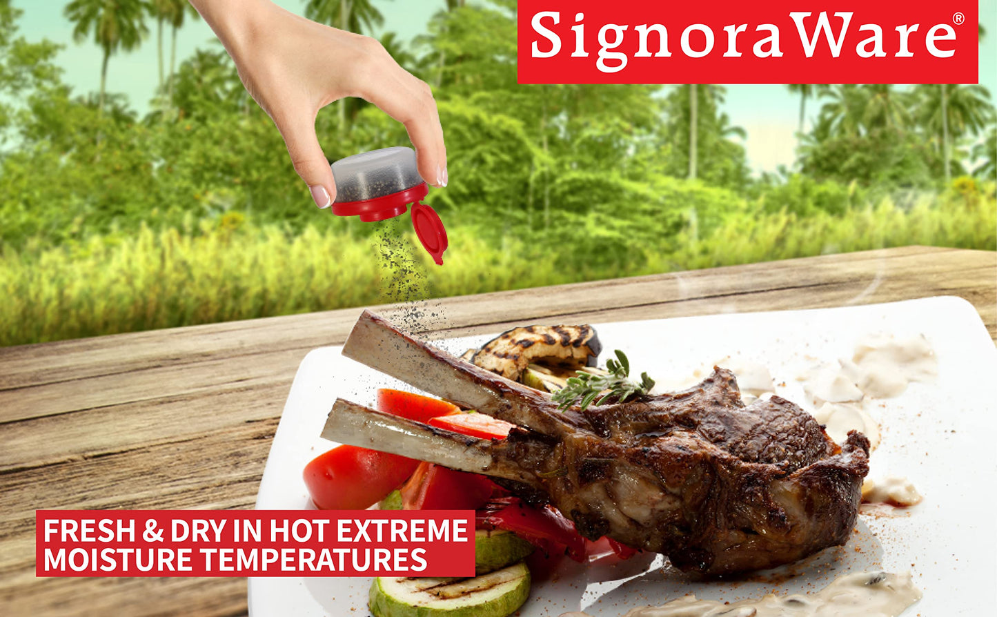 Signoraware Salt and Pepper Shakers Moisture Proof Set of 2 Small Mini Salt Shaker to go Camping Picnic Outdoors Kitchen Lunch Boxes Travel Spice Set Clear with Red Covers Plastic Airtight Dispenser