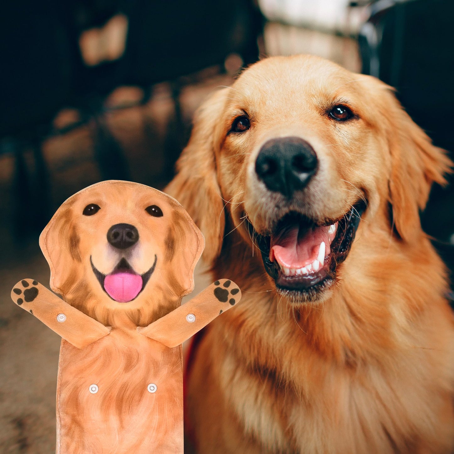 AGRIMONY Golden Retriever Dog Funny Hand Towels for Kitchen Bathroom - Dog Mom Gifts for Women Men- Easter Mothers Fathers Valentines Housewarming Unique Christmas Birthday Gifts for Animal Lovers