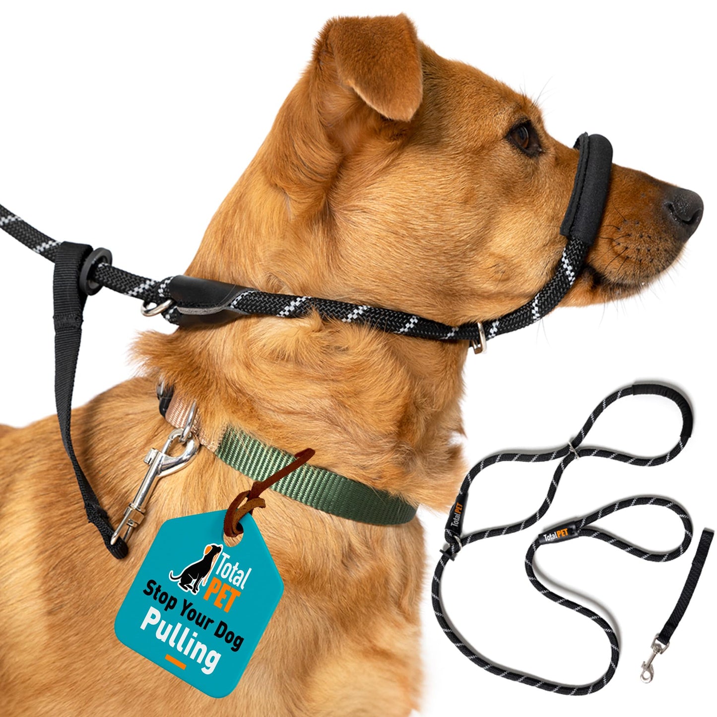 Total Pet Figure of 8 Dog Lead - Anti Pull Stop Dogs Pulling - Rope Slip Leads with Padded Nose Support (Medium/Large) Black