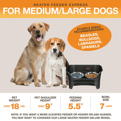 Neater Feeder Express Elevated Dog Bowls by Neater Pet Brands – Dog Bowls with Stand - Stainless Steel Food and Water Bowls – Raised Dog Bowl Set for Medium to Large Dogs, Midnight Black