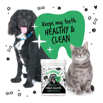BUGALUGS Plaque Off Remover for Dog 70g Teeth & Bad Breath 100% Natural | Plaque Off Dogs No Need for Dog Toothbrush or Dog Toothpaste | Remove Dog Bad Breath & Plaque Remover for Dogs & Cats (70g)