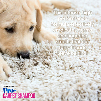 Pro-Kleen Pro+ Carpet Shampoo and Upholstery Cleaning Solution – 4 in 1 Concentrate – Pet Carpet Cleaner with Odour Removal Suitable for all Machines 5L (Spring Bloom)